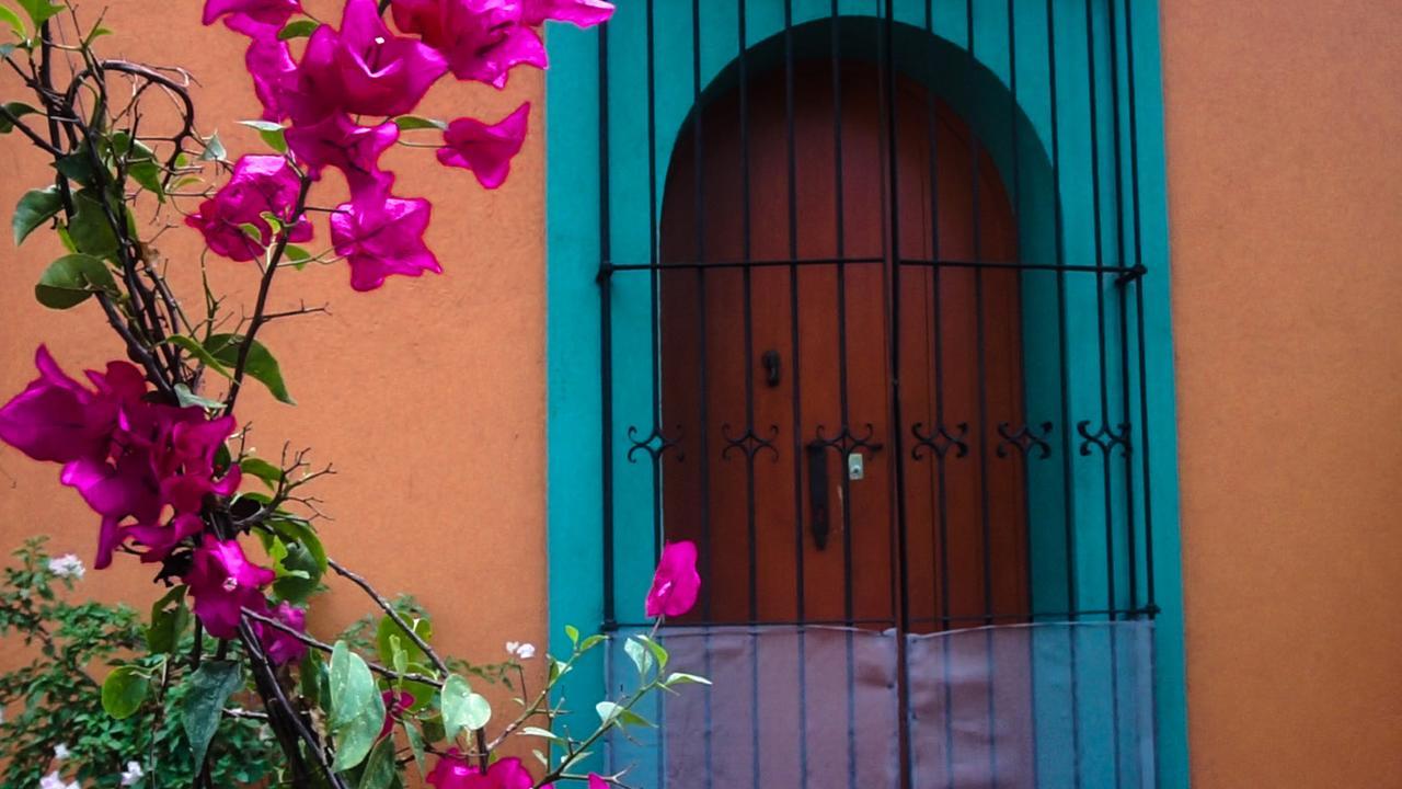 Casa Frida B&B Oaxaca Eksteriør bilde