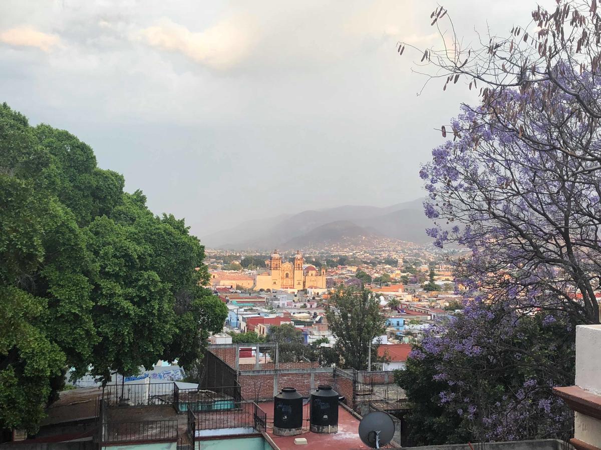 Casa Frida B&B Oaxaca Eksteriør bilde