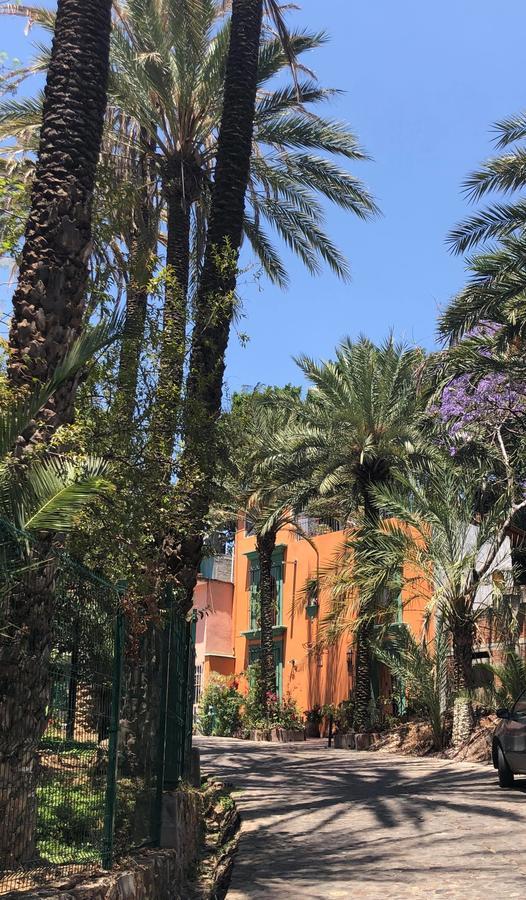 Casa Frida B&B Oaxaca Eksteriør bilde